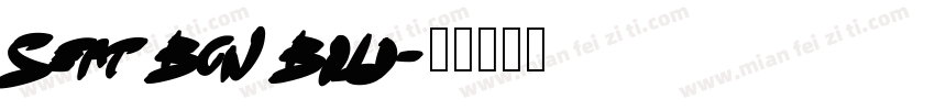 Seat Bcn Bold字体转换